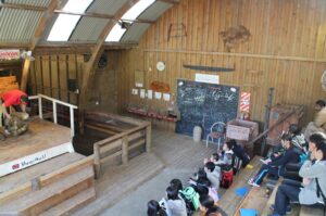 IMG_3241_R