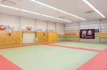 judo11